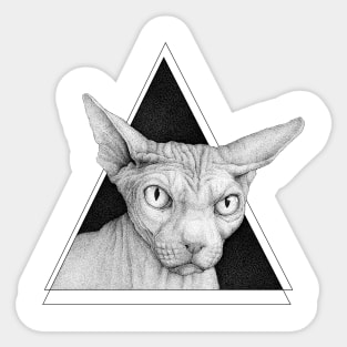 Sphynx Sticker